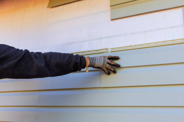 Best Custom Siding Design  in Hunters Creek, FL